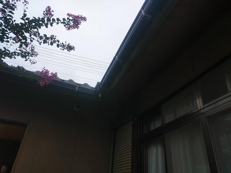 雨樋交換工事